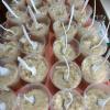 IMG-20250106-WA0020